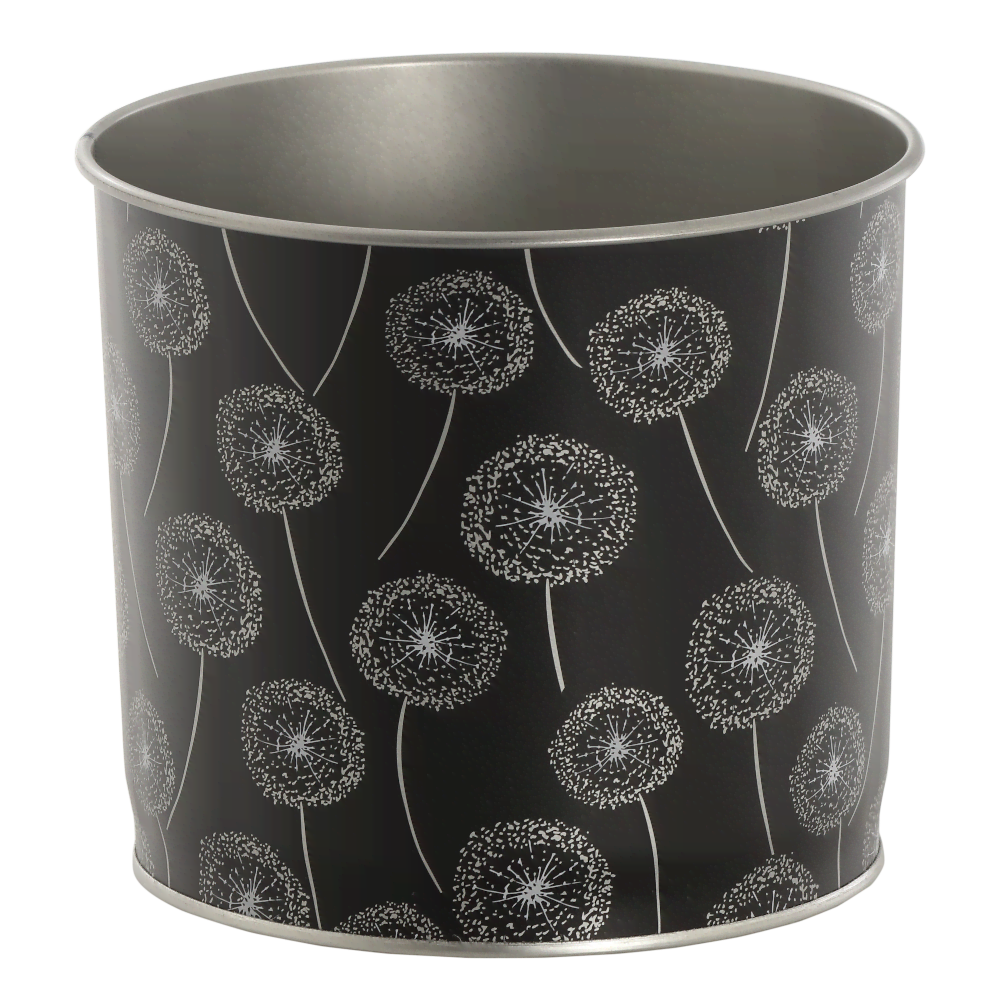 Dandelions